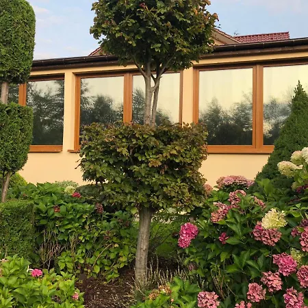 Villa Willa Z Kompleksem Budzistowo