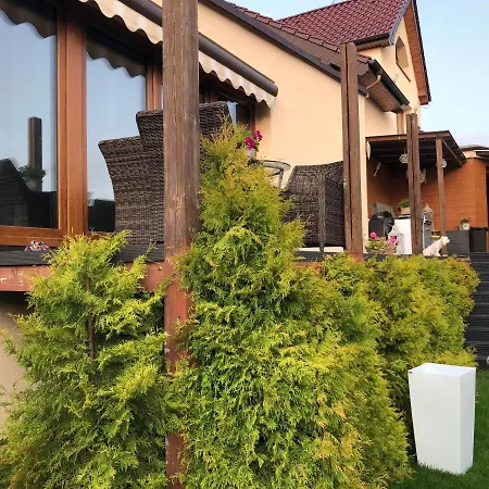 Villa Willa Z Kompleksem *